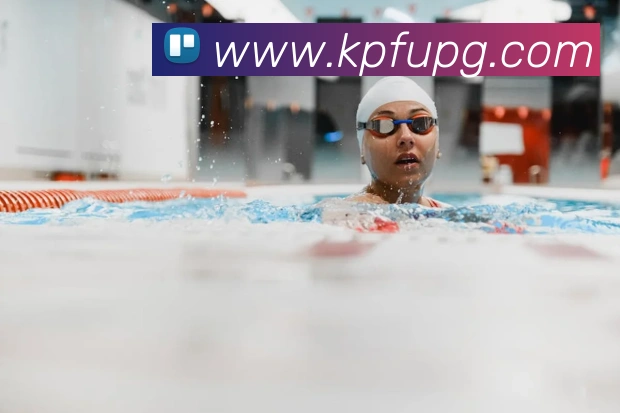 新葡京娱乐城平台生态图