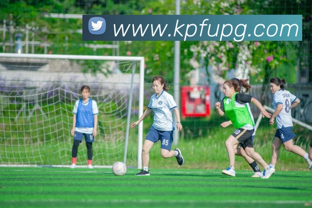 新葡京娱乐城APP 封面图